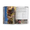 Picture of SPORT CLIMBING IN MALTA & GOZO GUIDEBOOK
